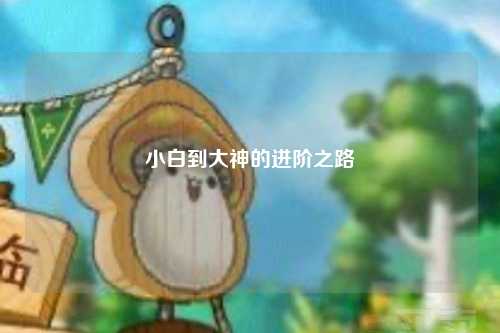 小白到大神的进阶之路