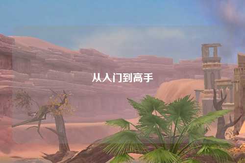 从入门到高手
