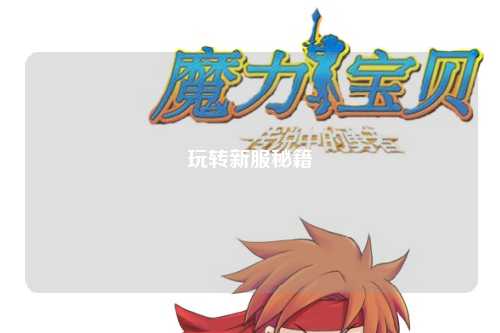 玩转新服秘籍