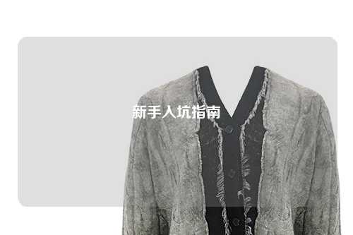 新手入坑指南