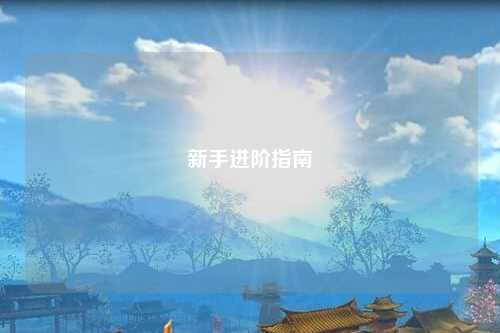 新手进阶指南