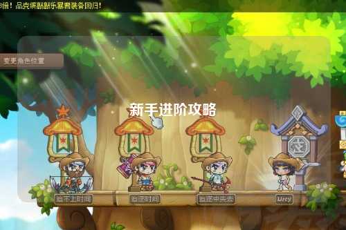 新手进阶攻略
