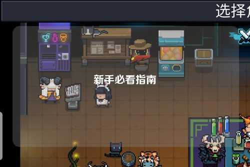 新手必看指南