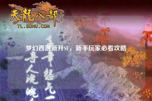 梦幻西游新开SF，新手玩家必看攻略