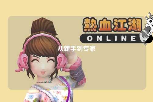从新手到专家