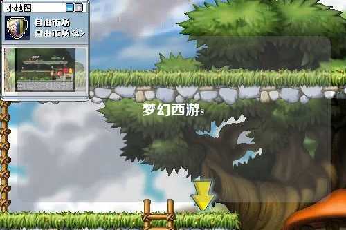 梦幻西游s